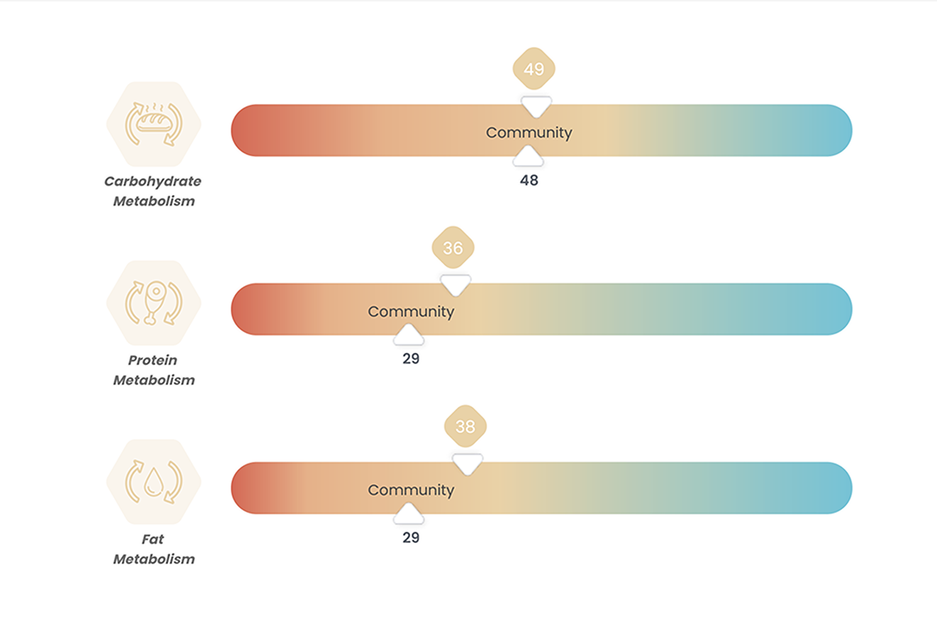 Microbiome Analysis Report