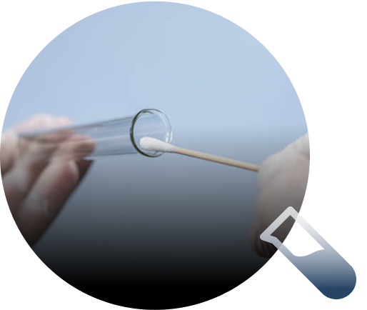 Collect and Send Your Sample