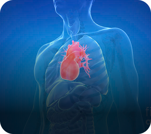 Heart Health