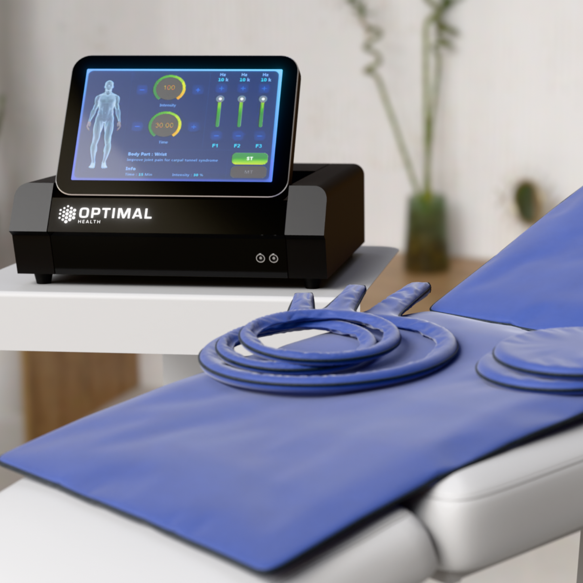 PEMF System for Pain Relief and Recovery